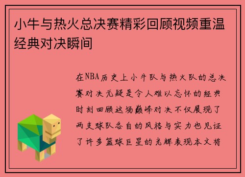 小牛与热火总决赛精彩回顾视频重温经典对决瞬间